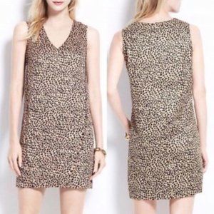 Ann Taylor l Animal Print Shift Mini Dress